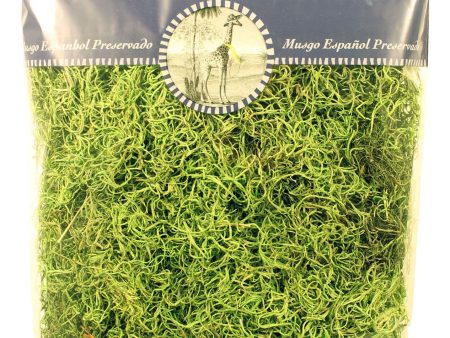 Supermoss - Spanish Moss Preserved For Sale