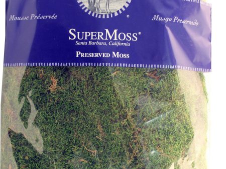 Supermoss - Sheet Moss Preserved Online