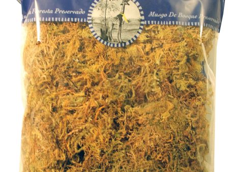 Supermoss - Forest Moss Dried Online