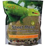 Galapagos - Sheet Moss Decorative Discount