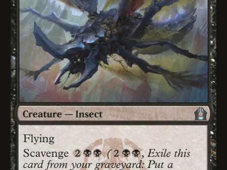 Zanikev Locust [Return to Ravnica] Online